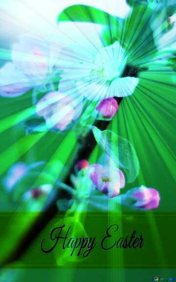 FX №169713 Flowers of the Apple-tree Inscription Happy Easter on Background with Rays of sunlight