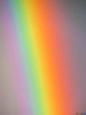 FX №180895 rainbow gradient