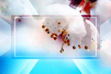 FX №188601 Spring wallpaper