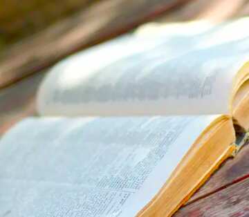 FX №19356 Image for profile picture Open dictionary.