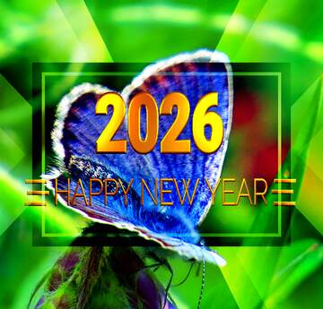 FX №213651 butterfly happy new year 2026 background