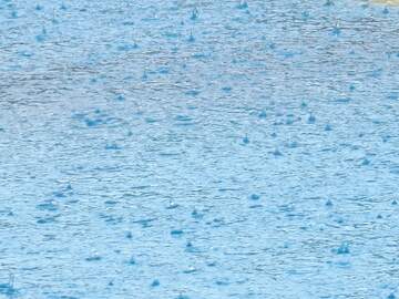 FX №261979 rain water texture