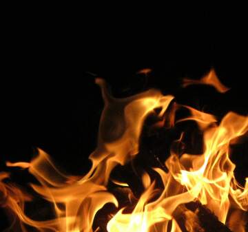 FX №262263 Flame on dark background