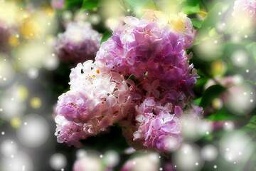 FX №262599 Light lilac background
