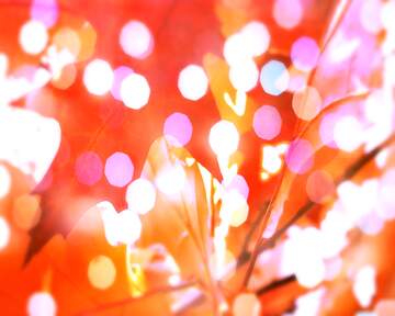 FX №265373 Cranberry Cascade