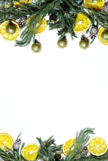 FX №266818 Christmas blank printable template