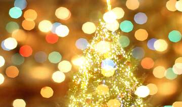 FX №266948 Slike božičnega drevesa