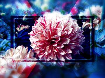 FX №266484 Squad Blessings: Wishing You Joyful Moments