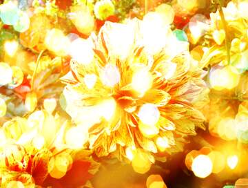 FX №266468 Thicc Vibes: Greetings with Positive Energy