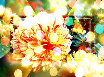 FX №266475 Wishful Vibes: Wishing You Positive Energy