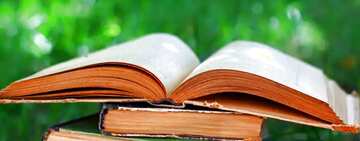 FX №52350 Обложка. Чтение книг.