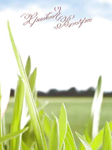 FX №57172 Христос Воскрес фон