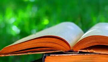 FX №61362 Abdeckung. Bücher lesen.